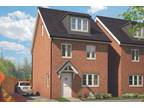 Home 339 - The Beech Emmbrook Place New Homes For Sale in Wokingham Bovis Homes