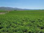 Plot For Sale In Ellensburg, Washington