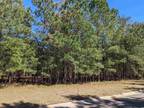 Plot For Sale In Conway, South Carolina