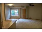 Condo For Sale In Minneapolis, Minnesota