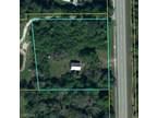 Plot For Sale In Felda, Florida