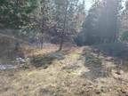 Plot For Sale In Kettle Falls, Washington