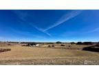 Plot For Sale In Windsor, Colorado