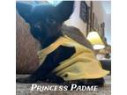 Princess Padme