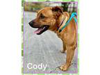 CODY Black Mouth Cur Adult Male