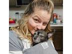 Very Experienced Pet Sitter in Columbia, MO $35-45 Daily - Book Now for Reliable