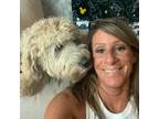 Experienced and Reliable Pet Sitter in Marietta GA $60 Daily (including