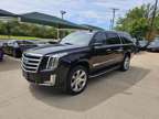 2019 Cadillac Escalade ESV for sale