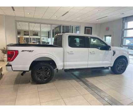 2021UsedFordUsedF-150Used4WD SuperCrew 5.5 Box is a White 2021 Ford F-150 Car for Sale in Milwaukee WI