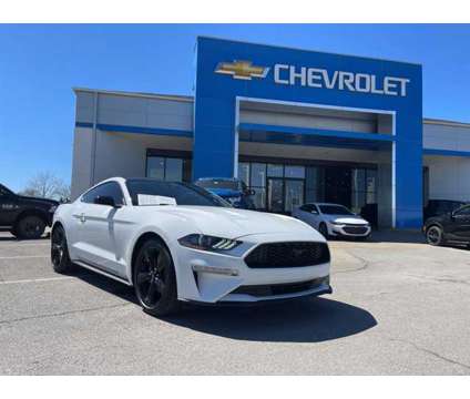 2023 Ford Mustang EcoBoost is a White 2023 Ford Mustang EcoBoost Car for Sale in Olathe KS