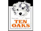Ten Oaks Doodles - Iowa