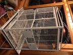 Large parrot cage