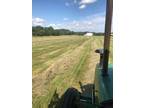 Hay, grass and alfalfa