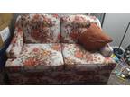 Couch and Loveseat or 2 piece sofa with 2 pillows