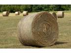 Round bale for sale in wallkill ave