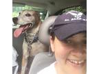 Experienced Pet Sitter in Columbia, PA. Will love your pets like they are my