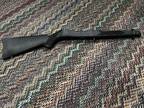 Ruger 10/22 Stock and Barrel
