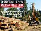 WASHINGTON LOGGING- TIMBER BUYERS, LOGGERS Duvall, Auburn, Orting, Issaquah