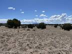 Plot For Sale In Prescott, Arizona