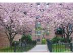 Property For Sale In Elmhurst, New York