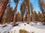 Plot For Sale In Truckee, California