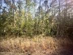 Plot For Sale In Interlachen, Florida