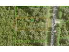 Plot For Sale In Hernando, Florida