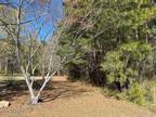 Plot For Sale In Shiloh, North Carolina