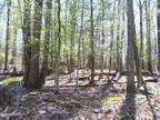 Plot For Sale In Tafton, Pennsylvania