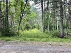 Plot For Sale In Indian Lake, New York