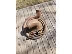 Holton Sousaphone