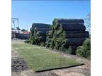 Used Sports Turf $99 Sale Recycled Artificial Football Grass