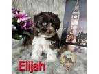 Elijah