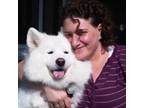 Experienced Chino Hills Pet Sitter Reliable & Trustworthy Care