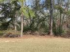 Plot For Sale In Conway, South Carolina