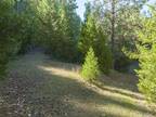 Plot For Sale In Selma, Oregon