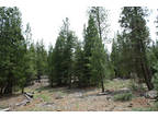Northern California Forest Land .97 Acre