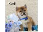 Kenji