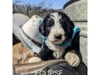 Eclipse Adopted