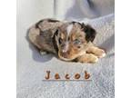 Jacob