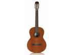 New Cordoba C-5 Acoustic Classical Guitar with Humidor Case.
