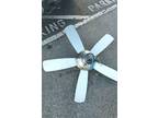 Monte Carlo Ceiling Fan 52"