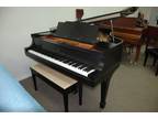 Fully Restored Steinway M Grand Piano