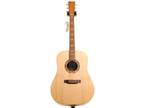 Martin DX1 Tawny Satinwood Guitar