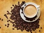 Buy Premium Coffee at a Fair Rate from Coffee Mill