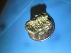 Gold Nugget 14.6 Gram with Cert 20.41 K Pure See Photos 900 or Offer