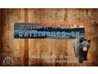 Metal Signs 4x18 Gatlinburg location sign