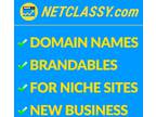 Premium Domain Names - Blog Website Names - Business Names Available For Sale