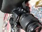 Wts/wtt:Nikon D60 with action cam