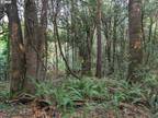 Plot For Sale In Coquille, Oregon